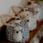 Rigas