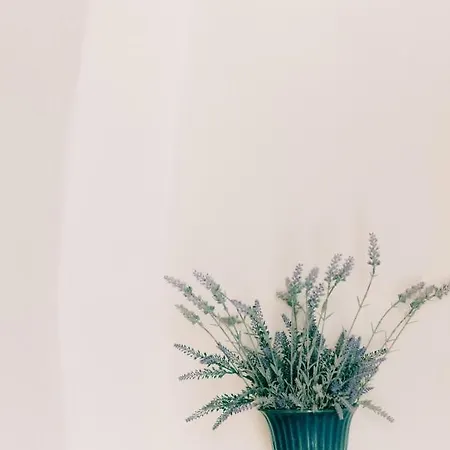 Rigas Нафплион