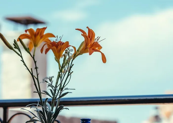 Bed & Breakfast Rigas 4*
