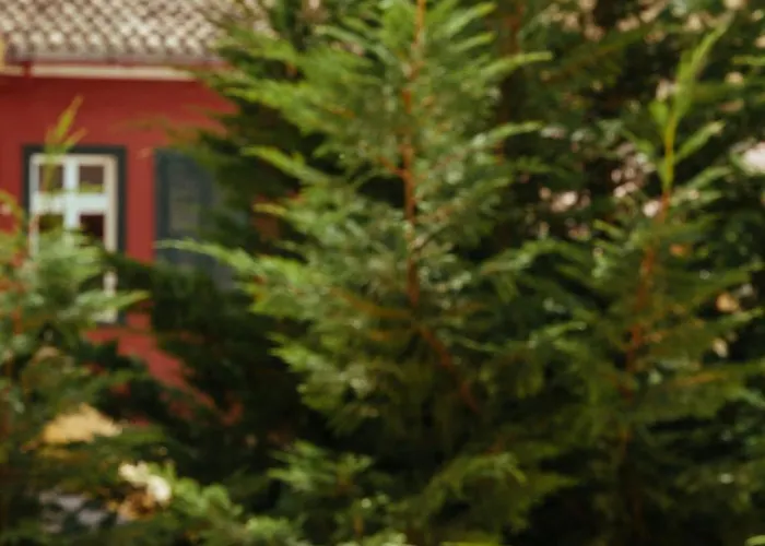 Rigas Bed & Breakfast