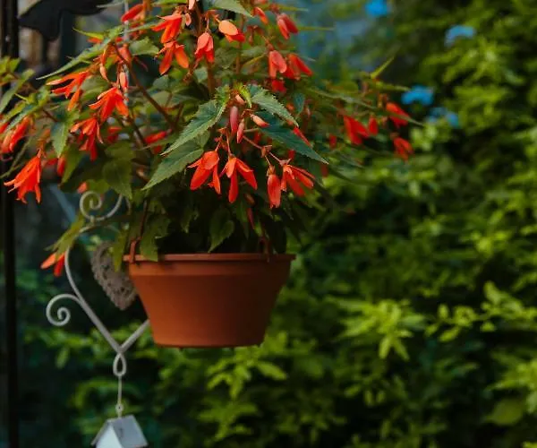 Rigas 4* Нафплион