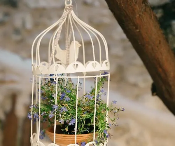 Rigas Bed & Breakfast